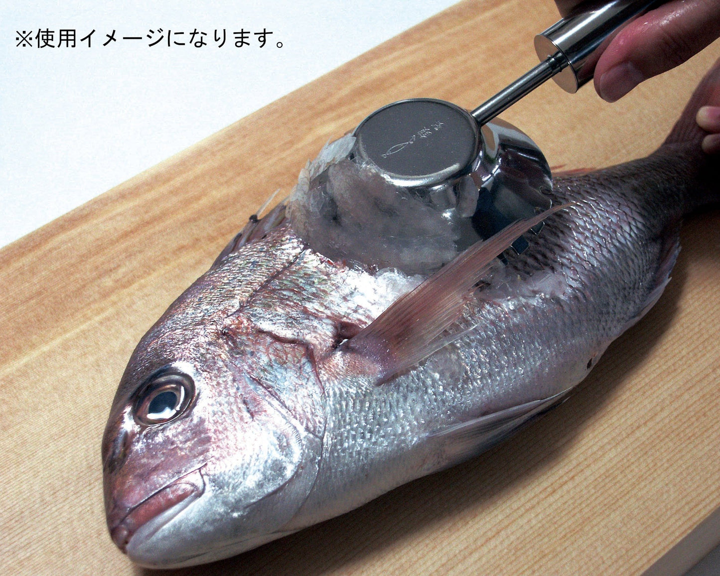 104-10159 銀鱗ウロコ取り