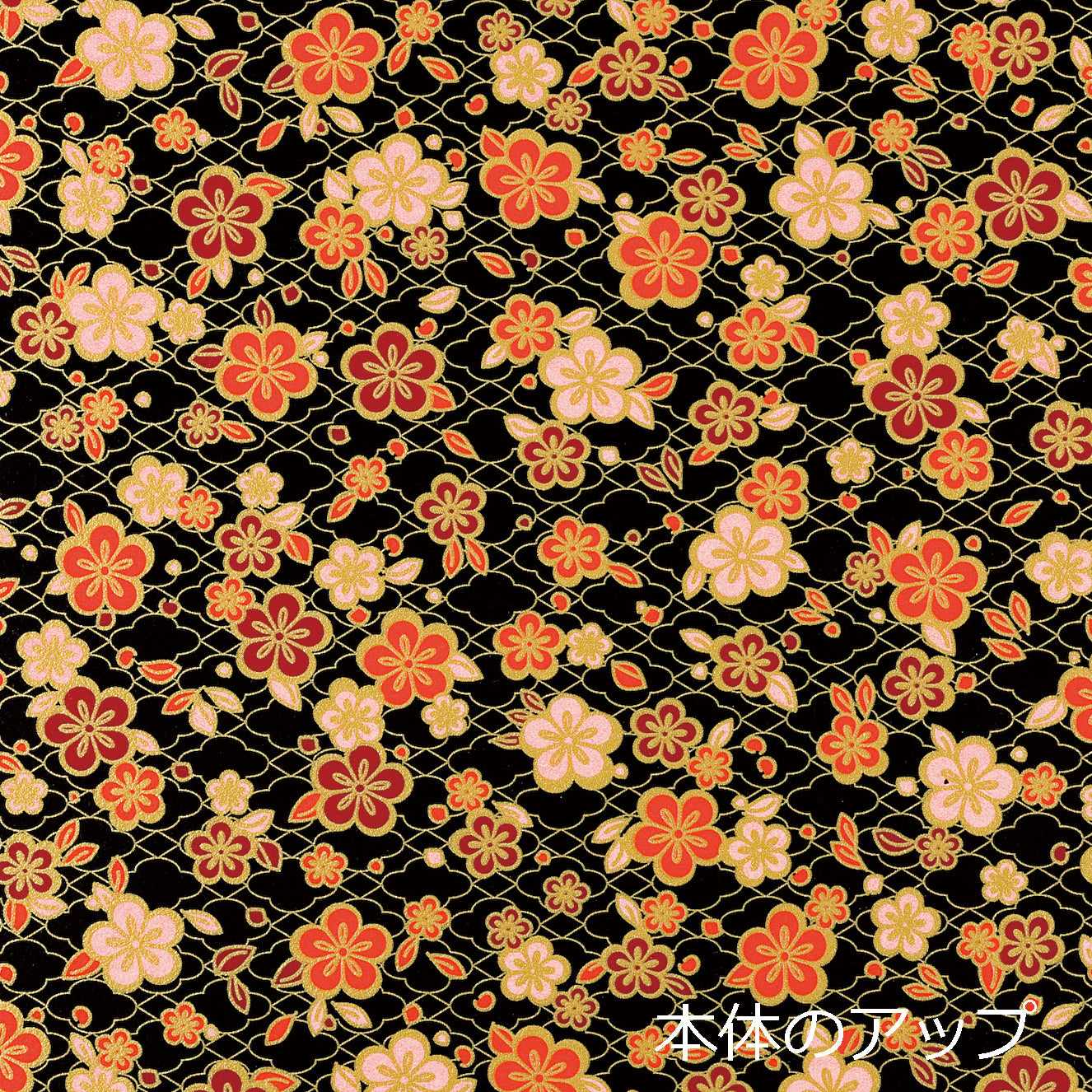 黒花菱三段重箱<36セット入>
