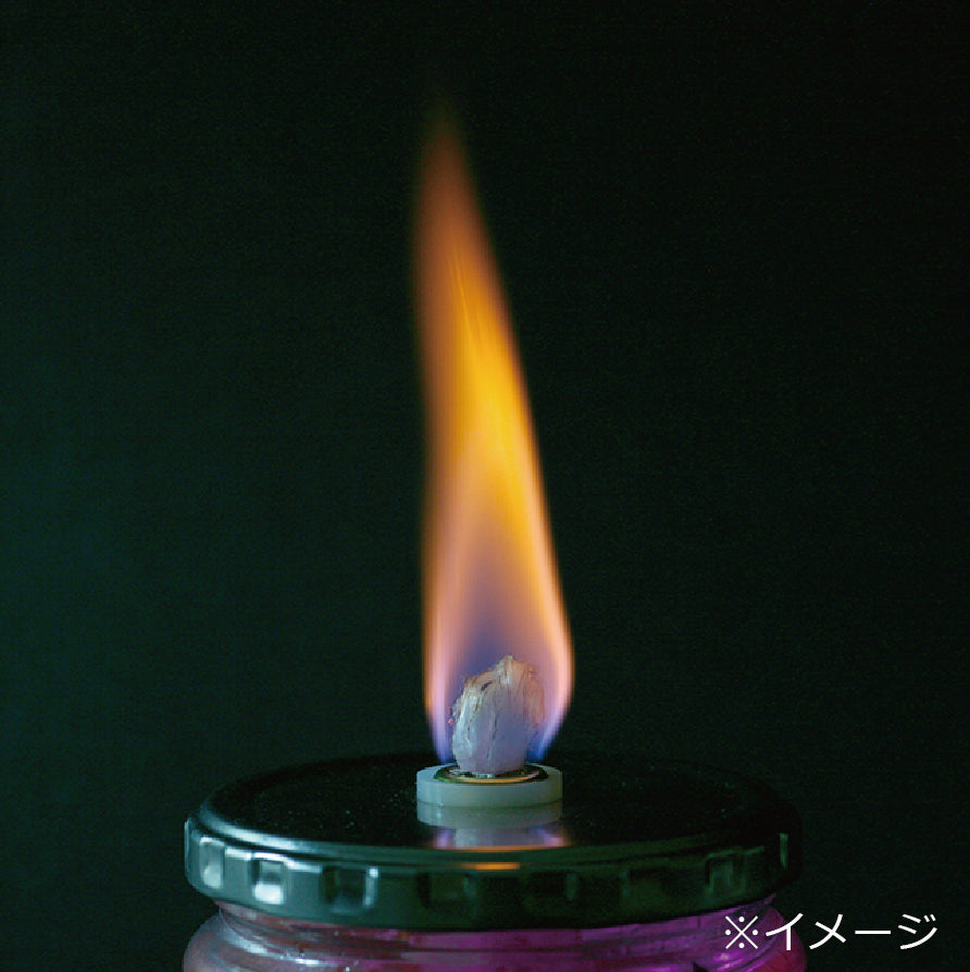 K208-10042 プロヒート(ガラス容器)