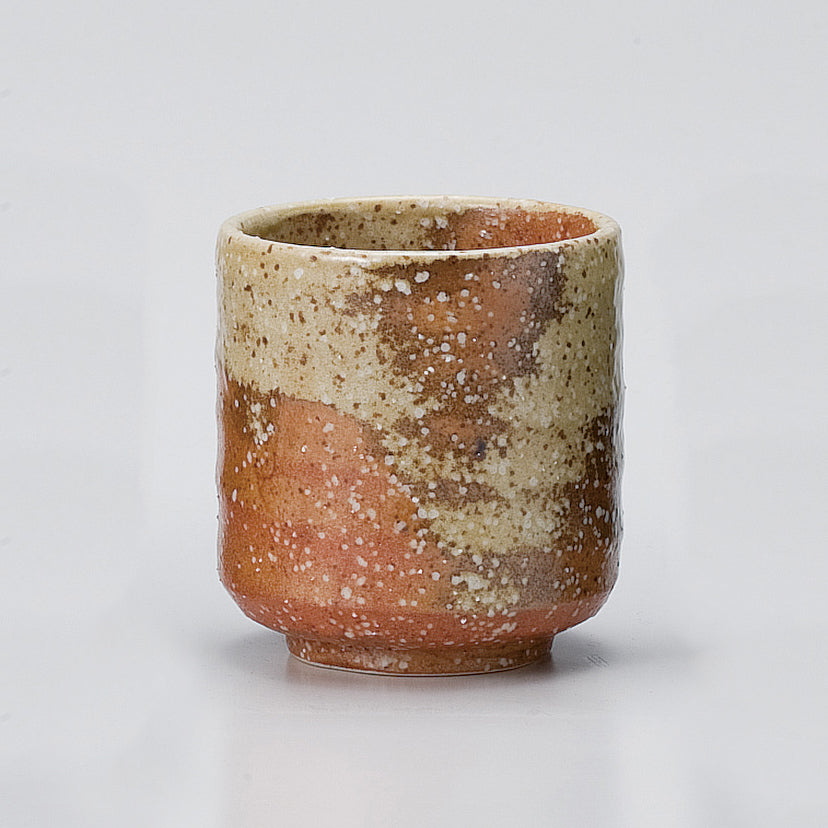 510-00029 平型寿司湯呑 信楽