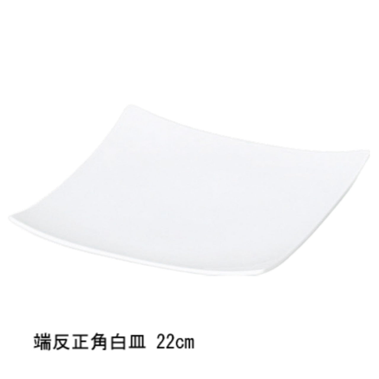 端反正角白皿