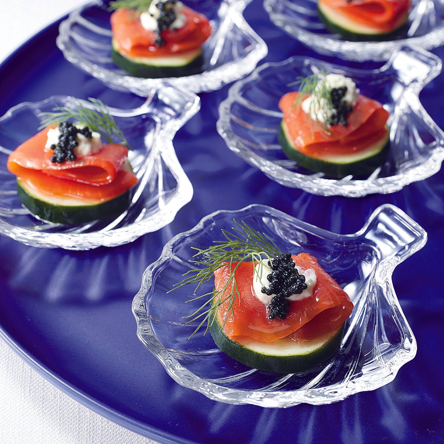 138-10582 アミューズ(シェル)TS44042