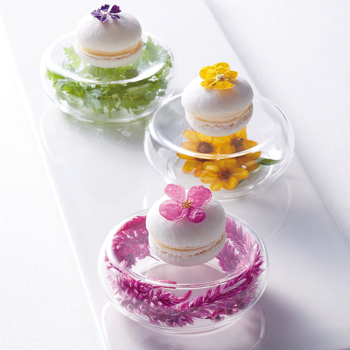 138-10581 アミューズ(エアー)TS44041