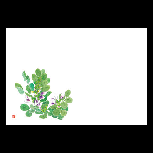 201-10138 38cm上質紙マット ソラマメ (4・5月)