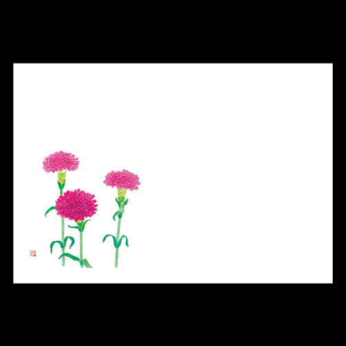 201-10139 38cm上質紙マット カーネーション (4・5月)