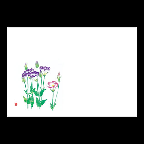 201-10199 38cm上質紙マット トルコキキョウ(7~9月)