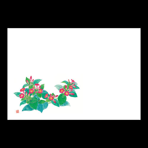 201-10205 38cm上質紙マット 新おしろい花(8・9月)