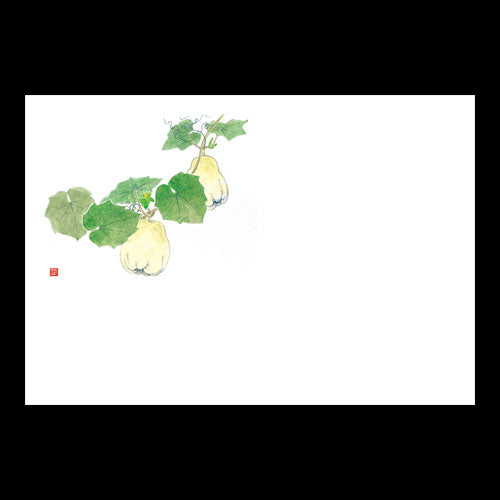 201-10212 38cm上質紙マット ハヤトウリ(8~10月)