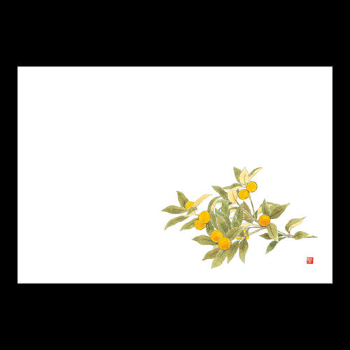 201-10240 38cm上質紙マット キンカン(11月)