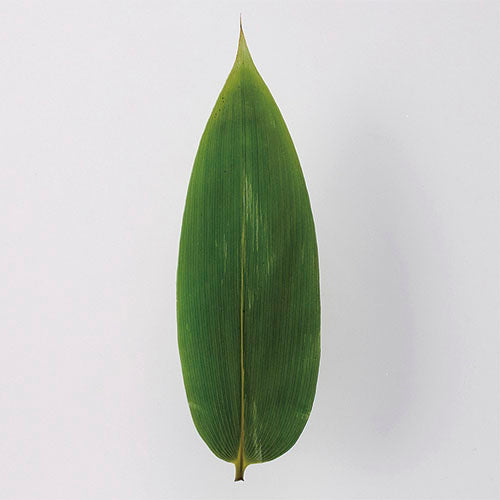 213-10001-01 生笹葉(S)<100枚入>