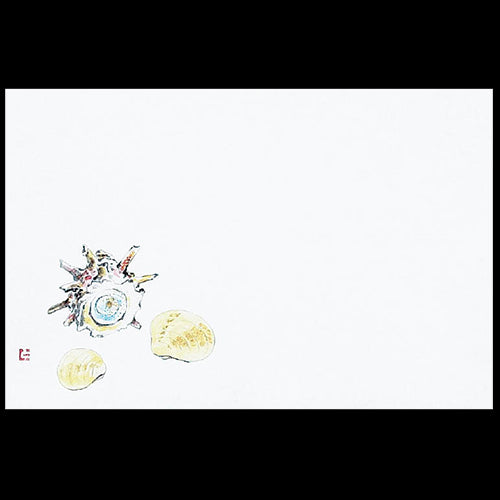 201-10075 38cm上質紙マット 貝(オールシーズン)
