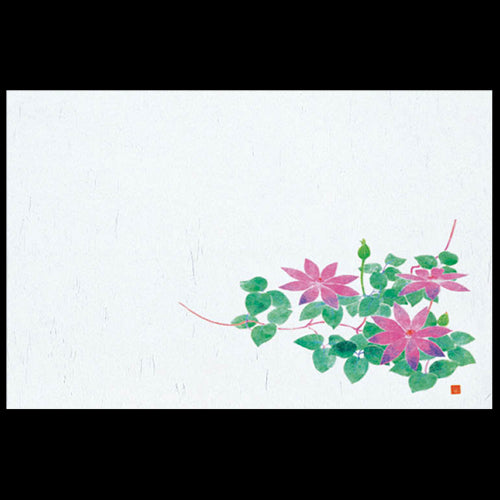 201-10190 38cm上質紙マット 新鉄仙(7・8月)