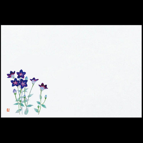 201-10210 38cm上質紙マット ききょう(8・9月)