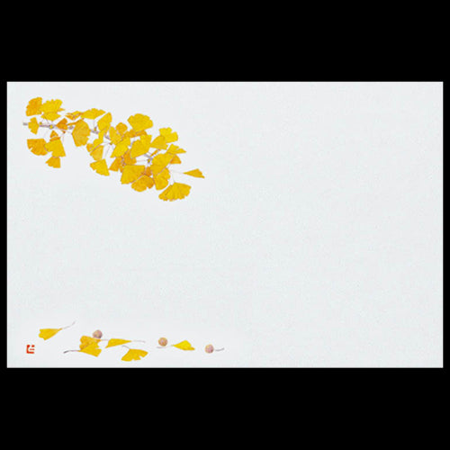 201-10236 38cm上質紙マット いちょう(10~12月)