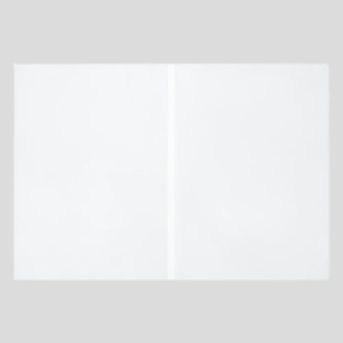 113-30203 抗菌ビニール55<5枚入>