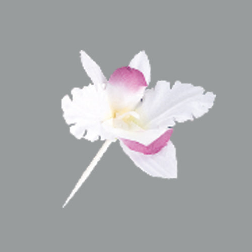 178-10091 シルク花楊枝 カトレア<50入>