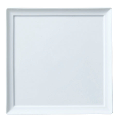 503-00050 An hors d'oeuvre(オードブル) 21cm四角皿