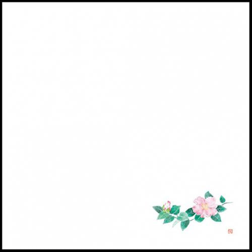 耐油天紙懐敷 山茶花(さざんか) (10~2月)