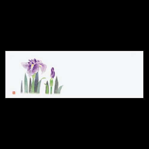201-20106 上質紙13cm長角マット 花菖蒲 (5・6月)