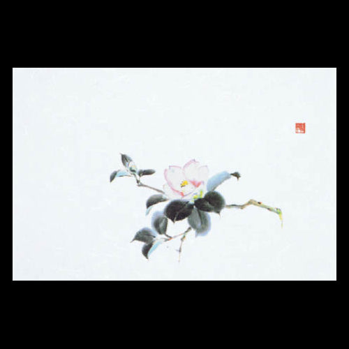 201-10244 38cm上質紙マット 白椿 (11・12月)