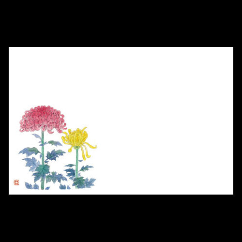 201-10232 38cm上質紙マット 新菊 (9・10月)