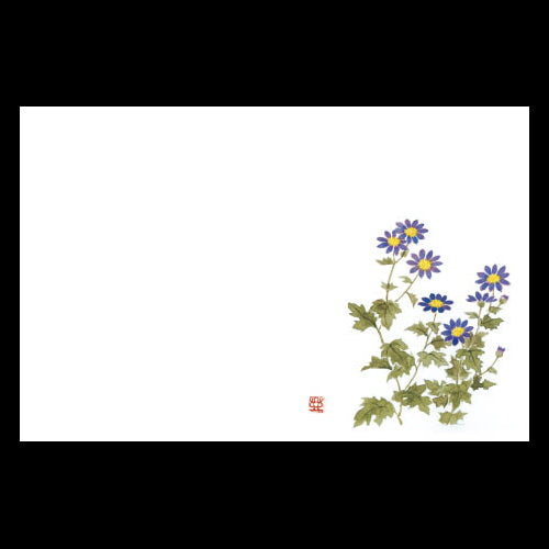 201-10228 38cm上質紙マット 新野菊 (9・10月)