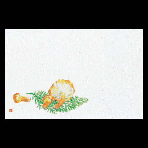 201-10224 38cm上質紙マット まつたけ (9・10月)