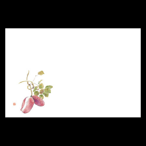 201-10216 38cm上質紙マット あけび (9・10月)