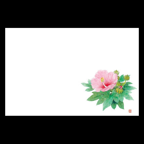 201-10207 38cm上質紙マット 新芙蓉 (8・9月)