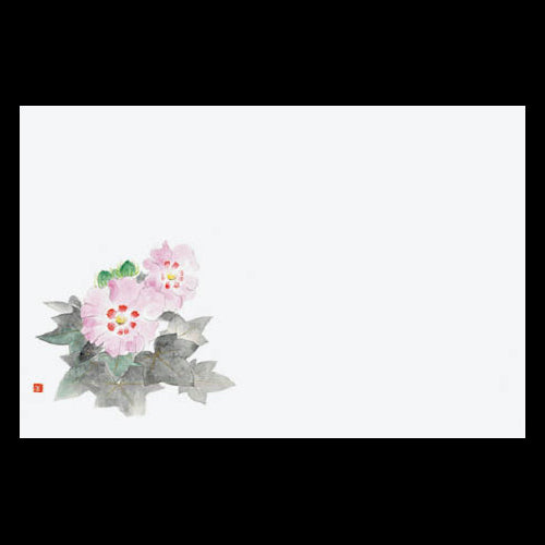 201-10206 38cm上質紙マット 芙蓉 (8・9月)