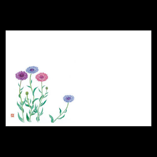 201-10198 38cm上質紙マット 矢車草 (7・8月)