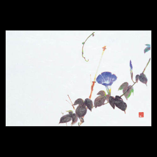 201-10195 38cm上質紙マット 新朝顔 (7・8月)