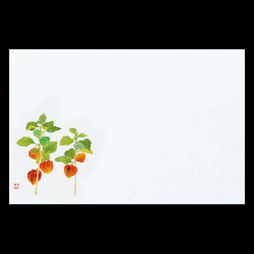 201-10193 38cm上質紙マット ほおずき (7・8月)