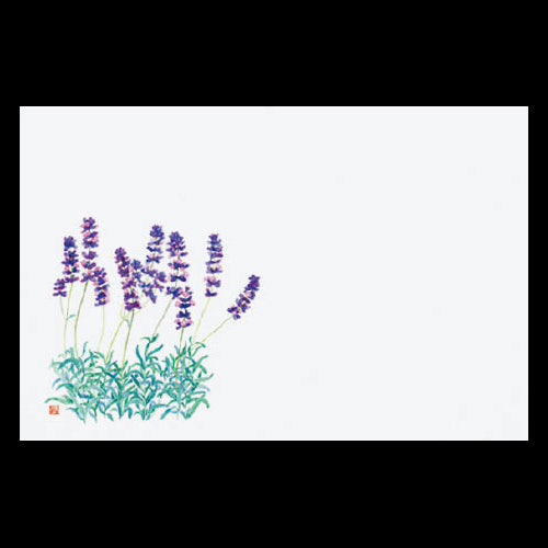 201-10181 38cm上質紙マット ラベンダー (6~8月)