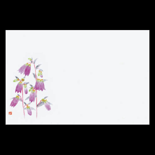 201-10180 38cm上質紙マット ホタルブクロ (6~8月)