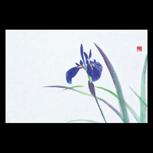 201-10164 38cm上質紙マット 新あやめ (5・6月)