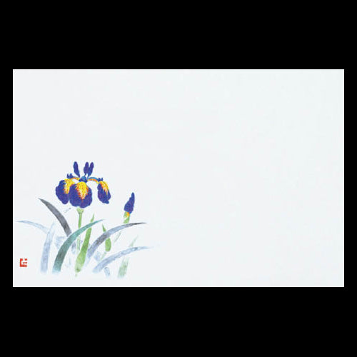 201-10163 38cm上質紙マット あやめ (5・6月)