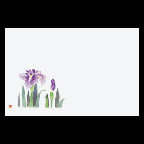 201-10162 38cm上質紙マット 花菖蒲 (5・6月)