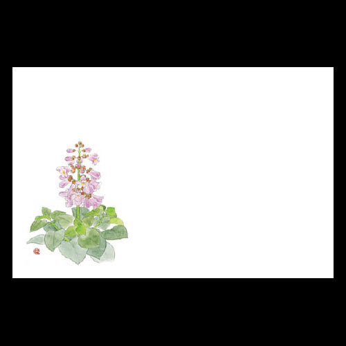 201-10302 38cm上質紙マット 桐の花 (5月)