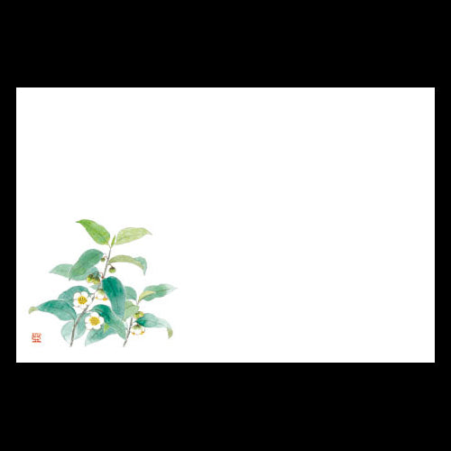 201-10156 38cm上質紙マット 新お茶の花 (5月)