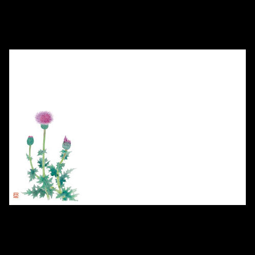 201-10152 38cm上質紙マット 新あざみ (4~10月)