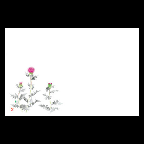 201-10151 38cm上質紙マット あざみ (4~10月)