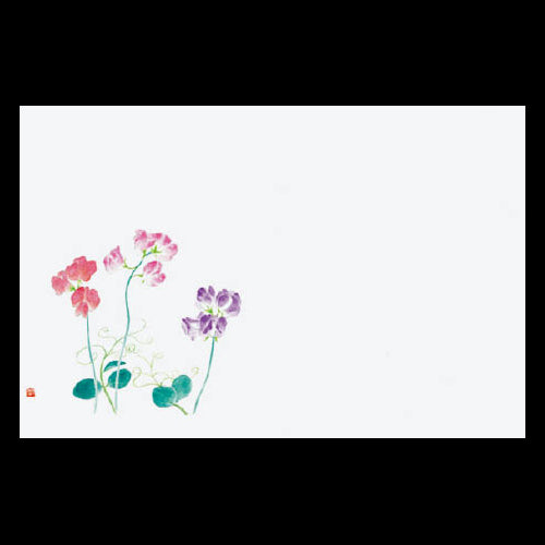 201-10144 38cm上質紙マット スイートピー (4、5月)