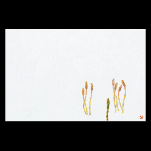 201-10129 38cm上質紙マット つくし (3・4月)