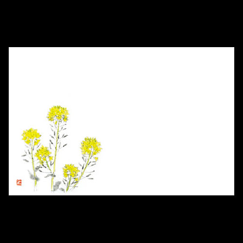 201-10128 38cm上質紙マット 菜の花 (3・4月)