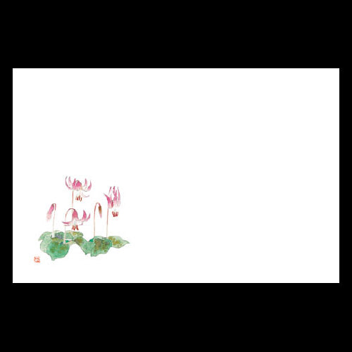 201-10127 38cm上質紙マット カタクリ (3・4月)