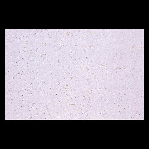 192-10119 尺3雲竜和紙マット 金銀振藤色