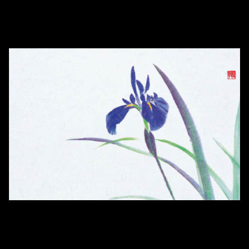 192-10051 尺3雲竜和紙マット あやめ (5・6月)