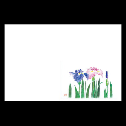 192-10049 尺3雲竜和紙マット 新花菖蒲 (5・6月)