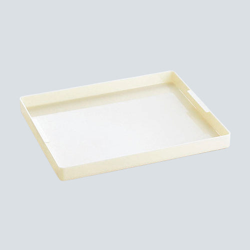 113-10427 セキスイ エスレンコンテナSP-トレー